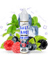 Рідина Fancy Monster - Mint Berry Salt 30ml 65mg