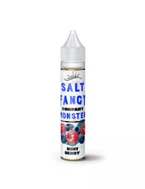 Fancy Monster - Mint Berry Salt 30ml 65mg